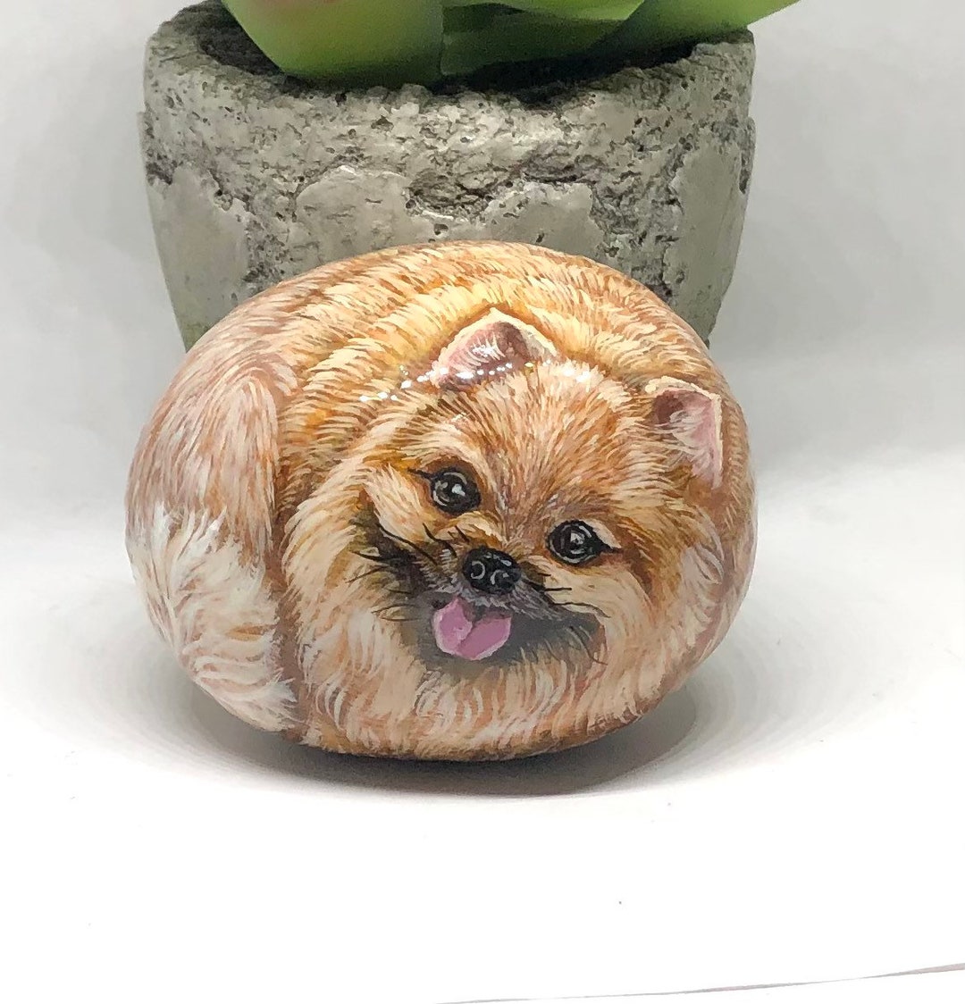 Dog Painted Rock, Pomeranian Painted Rocks, Hand Painted Dog Memorial ...