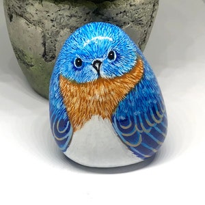 Hand painted cute Eastern Bluebird painted rock, Unique painted stone gifts for her, Spring decorations for home, Potted plant decor