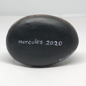 May include: Black painted rock with white text that reads "Hercules 2020" and "Sunanda".