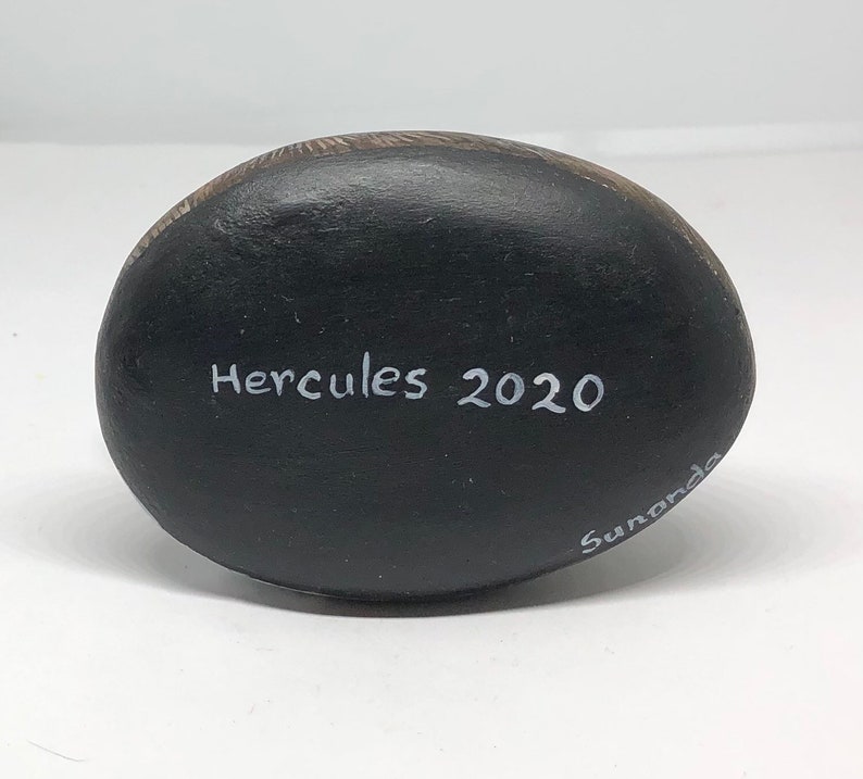 May include: Black painted rock with white text that reads "Hercules 2020" and "Sunanda".