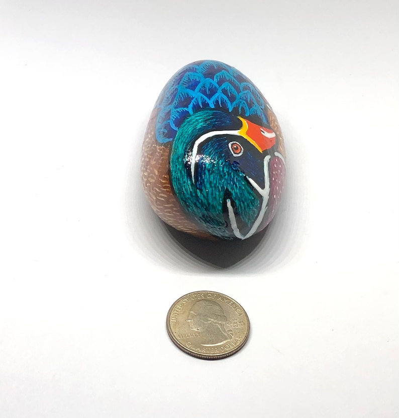 Wood duck painted rocks, Unique bird painted stone gifts for her, Water bird lovers gift, Paperweight art, Desk decor, Shelf sitter image 3