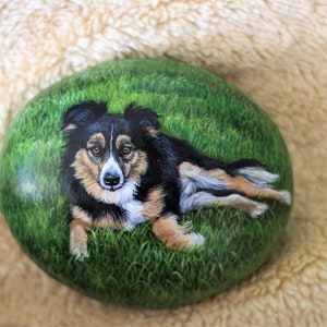Custom Pet Portrait with background Painted Rocks from Your Photograph, Personalized Pet Memorial Painted Stones