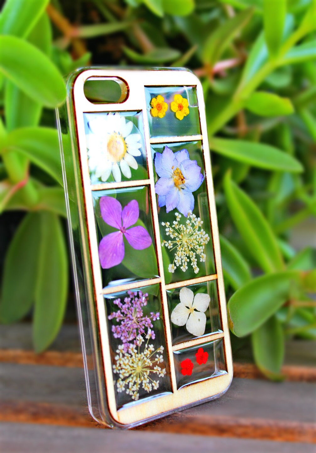 Pressed Flowers in Wooden Frame Iphone 6/6s Plus 5/5S SE Etsy