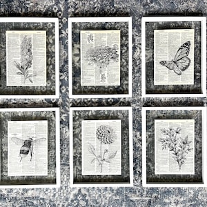 Botanical Vintage Dictionary Artwork Picture Wall Art Frame Collage Prints, Set of 6