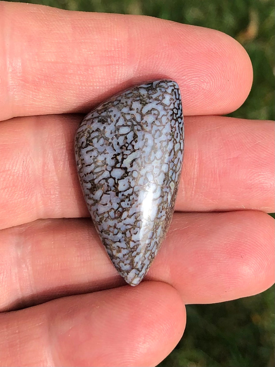 Gem bone mineralized dinosaur bone designer cabochon blue | Etsy