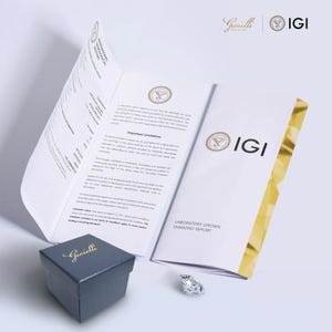 May include: A diamond, a dark blue jewelry box with the word "Gioielli" in gold script, and a Laboratory Grown Diamond Report are displayed. The IGI logo is visible on the report. The diamond is faceted and clear.
