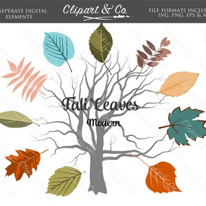 May include: A set of 11 digital clipart images of autumn leaves in various colours and shapes, including teal, orange, brown, green, and pink. The leaves are arranged around a bare tree trunk with the text "Fall Leaves Modern" below it.