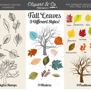 May include: A digital clipart set of 33 autumn leaves in three different styles: digital stamps, modern, and traditional. The leaves are in various colours, including red, orange, yellow, green, and brown. The set includes 11 digital stamps, 11 modern leaves, and 11 traditional leaves.