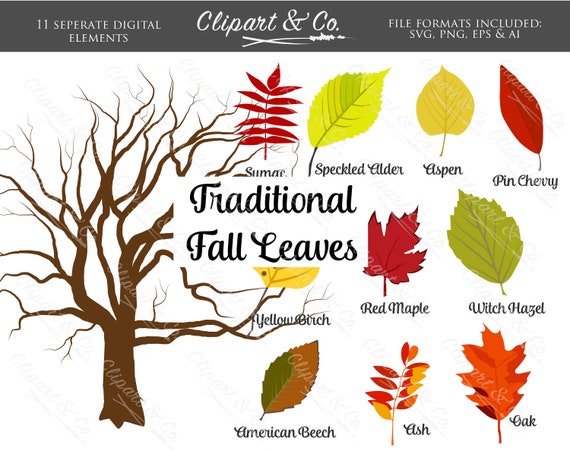 Download Autumn Clipart Svg Fall Leaves Clipart Tree Clip Art Design Etsy