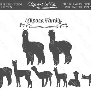 Clipart alpaca - alpaca SVG - lama SVG - lama-illustraties - alpaca silhouet SVG - alpaca sticker svg - clipart voor commercieel gebruik - vectorafbeeldingen