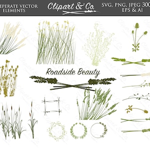 Botanical Clipart - Ranch SVG - Vector Icons - Cattail SVG - Digital Stamps - Design Elements - Vector Images - Floral Clipart