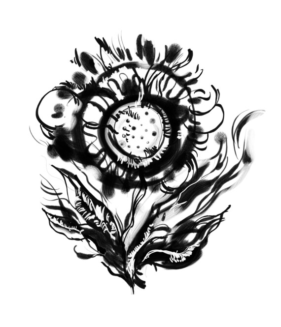 Flor Negra. Flor Negra estilizada sobre un fondo blanco. El - Etsy México Flor Negra. Flor Negra estilizada sobre un fondo blanco. El - Etsy México