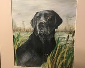 Black Lab