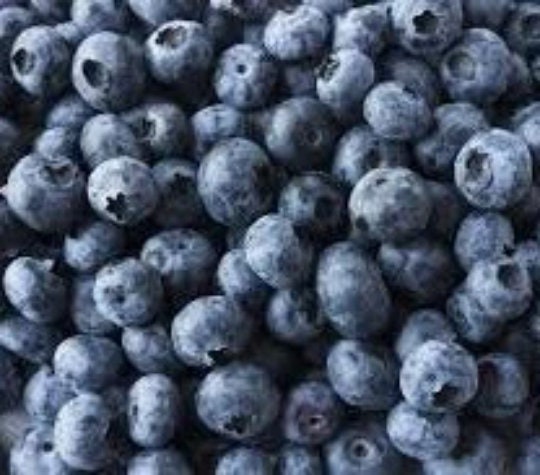 Highbush Blueberry - Swedish Dishcloth