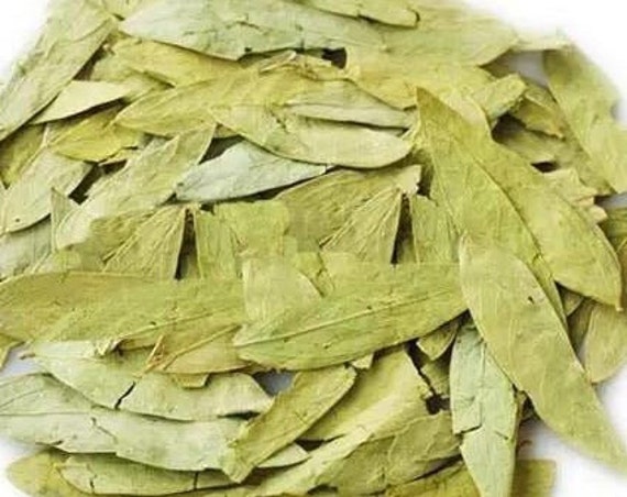 Herba Organica Senna Leaf / Senna Alexandrina L - Alexandrian Senna Loose Leaf Herb