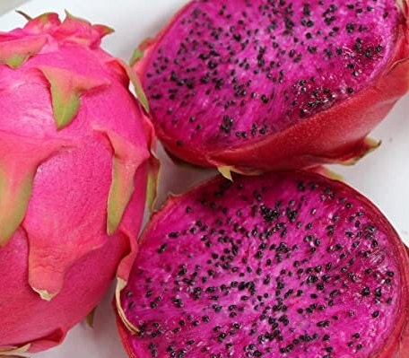 Dragon fruit american beauty - Etsy 日本 Dragon fruit american beauty - Etsy 日本