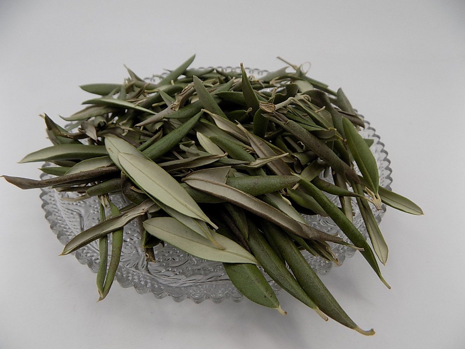 Olivier Biologique, Feuilles Séchés, Les Herbes, et Des Épices, de Plantes Médicinales, Feuilles Bio