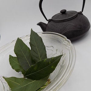 Dried bay leaves, herbs, and spices, products from my garden, organic laurel, picked and dried in the open air