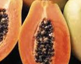 Papaya, melón tropical, higo de isla, semillas de papaya, fruta orgánica, planta orgánica, fruta sin tratar