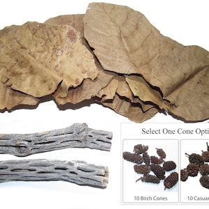 May include: A collection of natural aquarium decor elements. Includes dried brown leaves, two pieces of gray wood, and a choice of birch cones or casuarina pods. The text reads "Select One Cone Option".
