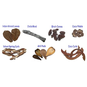 May include: Assortment of natural decorative elements, including Indian almond leaves, cholla wood, birch cones, coco petals, velvet spring curls, arti pods, and coco curls. Each element is a different shape and color, suitable for crafting or home decor.