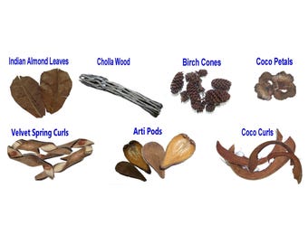 20+ Aquarium Botanicals Indian Almond Leaves Cholla Wood Birch Cones Coco Petals Mixed Pods Bioactive Tank Decor Shrimp Betta Aquascaping