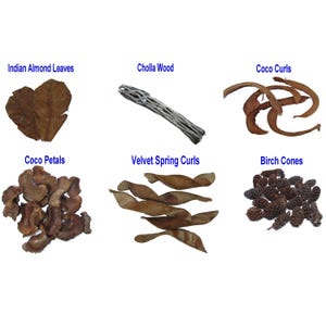 May include: An assortment of natural elements for crafting or decor. Includes Indian Almond Leaves, Cholla Wood, Coco Curls, Coco Petals, Velvet Spring Curls, and Birch Cones. Each item is a different shade of brown, with the names of each item in blue text.