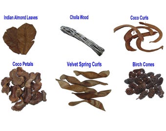 65-piece Aquarium and Natural Habitat Decorative Blackwater Starter Kit: Indian Almond Leaves, Cholla Wood, Birch Cones, Coco Petals & Curls