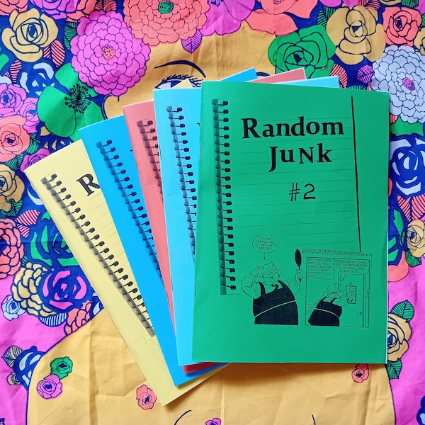 Random Junk 2 Zine | perzine diary comic music Books