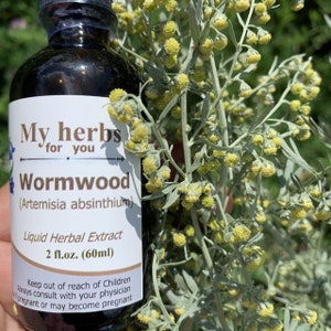 Wormwood tincture (FRESH Organic plant) tincture, Artemisia absinthium