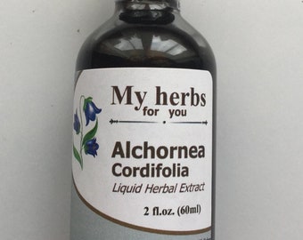 Alchornea Cordifolia tincture