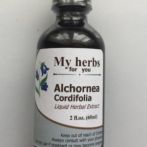 Alchornea Cordifolia tincture image 1