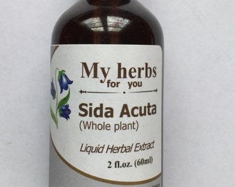 Sida Acuta (WHOLE PLANT) tincture