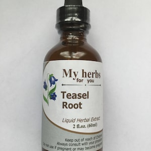 Teasel Root tincture, Dipsacus Sylvestris zdjęcie 7