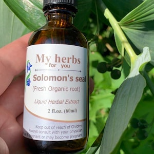 Solomon's seal tincture, Organic Fresh root, Polygonatum odoratum image 1