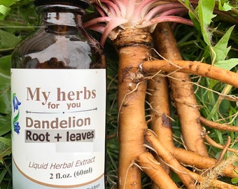 May include: A brown glass bottle with a dropper top, labeled "My herbs for you Dandelion Root + leaves Liquid Herbal Extract 2 fl.oz. (60ml)". The bottle is sitting on top of a dandelion plant with its roots exposed.