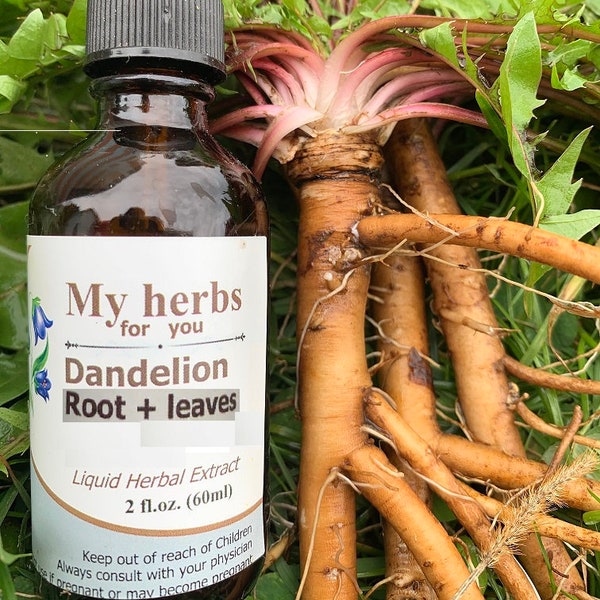 Dandelion (Fresh leaves+ roots) tincture, Organic