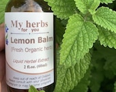 Lemon Balm (FRESH Organic plant) tincture, Melissa officinalis