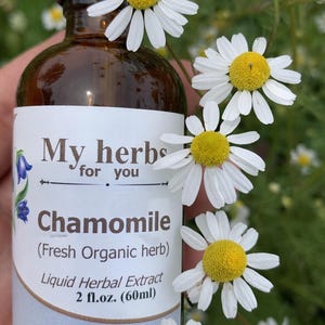 May include: A brown glass bottle of chamomile liquid herbal extract, 2 fl. oz. (60ml), with a black dropper. The label reads "My herbs for you Chamomile (Fresh Organic herb)". White daisy flowers with yellow centers surround the bottle.