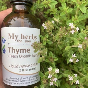 Thyme (FRESH Organic plant) tincture, Thymus