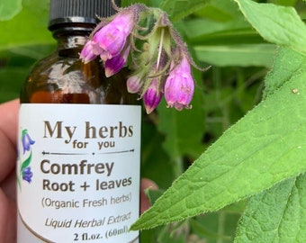 Comfrey FRESH organic tincture, Whole plant (leaves+roots), Symphytum