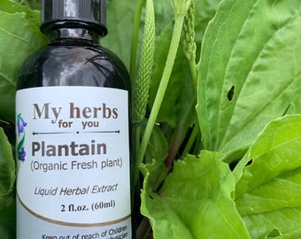 Plantain (Fresh Organic leaves) tincture