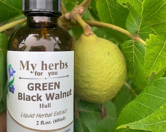 Green Black Walnut Hull tincture, Organic (Made from Green Walnuts hull)