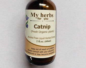 Glycérite d'herbe à chat, sans alcool, nepeta cataria, fabriqué à partir de plantes fraîches