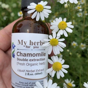 Kamille (Frische Bio-Kraut), Doppelextraktion