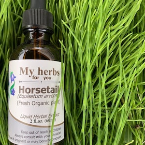Horsetail (Fresh Organic plant) Tincture