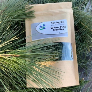 White Pine Needles (FRESH, ORGANIC)
