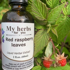 May include: A brown glass bottle with a white label that reads "My herbs for you Red raspberry leaves Liquid Herbal Extract 2 fl.oz. (60ml) Keep out of reach of Children Always consult with your physician use if pregnant or may become pregnant". The bottle is sitting on a green plant with red raspberries.