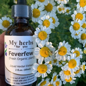 Feverfew FRESH Organic tincture, Featherfew,