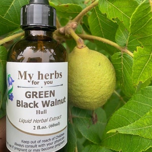 Green Black Walnut Hull tincture, Organic Made from Green Walnuts hull image 1